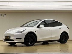 Tesla Model Y Rear-Wheel Drive - ფოტო 1