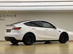 Tesla Model Y Rear-Wheel Drive - ფოტო 20