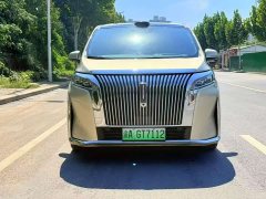 Great Wall WEY Shanshan New Energy Four-Wheel Drive Shanshan 8 - ფოტო 2