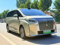 Great Wall WEY Shanshan New Energy Four-Wheel Drive Shanshan 8 - ფოტო 3