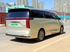 Great Wall WEY Shanshan New Energy Four-Wheel Drive Shanshan 8 - ფოტო 9