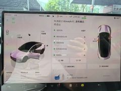 Tesla Model 3 Rear-Wheel Drive - ფოტო 13