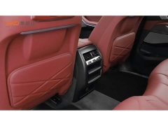 BMW X5 xDrive 30Li M Sport Luxury Night Edition Package - ფოტო 9