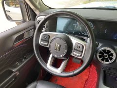 Tank 300 Off-Road Edition 2.0T Conqueror - ფოტო 10