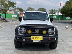 Tank 300 Off-Road Edition 2.0T Conqueror - ფოტო 2