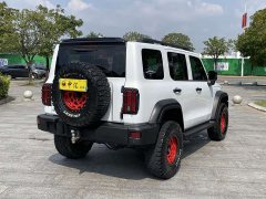 Tank 300 Off-Road Edition 2.0T Conqueror - ფოტო 8