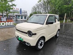 BYD Panda Mini 210km Vitality Edition - ფოტო 1