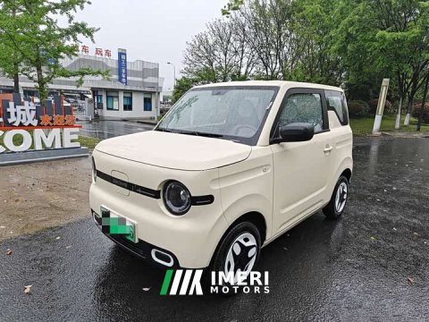 2025 BYD Panda Mini 210km Vitality Edition - ავტომობილი ჩინეთიდან