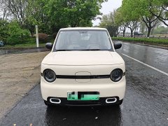 BYD Panda Mini 210km Vitality Edition - ფოტო 2