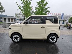BYD Panda Mini 210km Vitality Edition - ფოტო 3