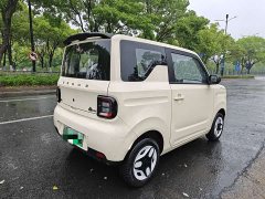 BYD Panda Mini 210km Vitality Edition - ფოტო 5