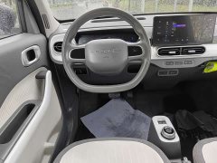 BYD Panda Mini 210km Vitality Edition - ფოტო 7