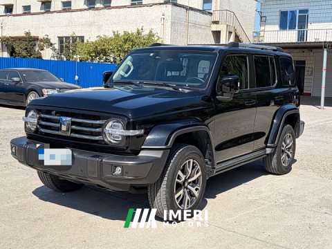 2022 Tank 300 2023 City Edition 2.0T Stylish - ავტომობილი ჩინეთიდან