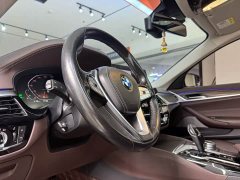 BMW 5 Series 530Li Premier Luxury Package - ფოტო 17