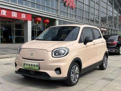 Leapmotor T03 2021 400 Micro Sugar Edition - ფოტო 1