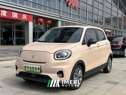 2022 Leapmotor T03 2021 400 Micro Sugar Edition - ავტომობილი ჩინეთიდან