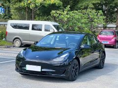 Tesla Model 3 Standard Range RWD Upgrade - ფოტო 1