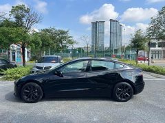 Tesla Model 3 Standard Range RWD Upgrade - ფოტო 7