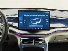 BYD Qin Plus 2021 DM-i 120KM Flagship - ფოტო 12