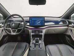 BYD Qin Plus 2021 DM-i 120KM Flagship - ფოტო 5