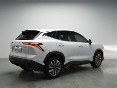 Jetour Jietu Dasheng 1.6T DCT King Plus - ფოტო 15