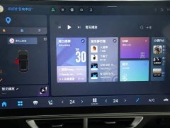 Jetour Jietu Dasheng 1.6T DCT King Plus - ფოტო 8