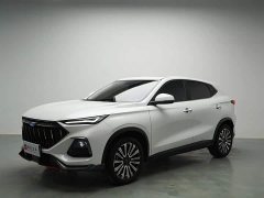 Changan Oushan X5 Comfort Edition 1.5T DCT Premium - ფოტო 1