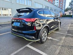 Haval Chitu Jingxiang Edition 1.5T Purple Copper Rabbit - ფოტო 10