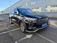 Haval Chitu Jingxiang Edition 1.5T Purple Copper Rabbit - ფოტო 3