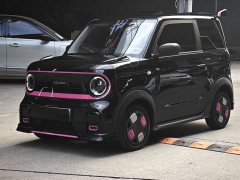 Geely Panda 200km Panda Kart - ფოტო 1