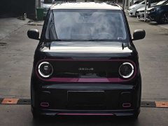 Geely Panda 200km Panda Kart - ფოტო 2