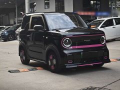 Geely Panda 200km Panda Kart - ფოტო 3
