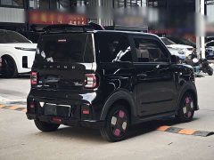 Geely Panda 200km Panda Kart - ფოტო 5