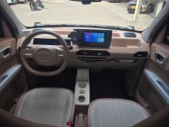 Geely Panda 200km Panda Kart - ფოტო 8