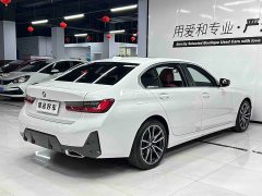 BMW 3 Series 320Li M Sport Package - ფოტო 6
