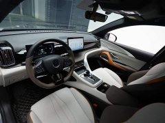 BYD Song Pro New Energy DM-i 71KM Glory Edition Leading - ფოტო 4