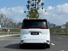 Denza BYD Denza D9 2022 DM-i 1040 Premium - ფოტო 7