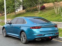 Geely Xingui Xingrui Facelift 2.0T Diesel Premium - фото 7
