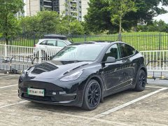 Tesla Model Y Standard Range RWD - ფოტო 1