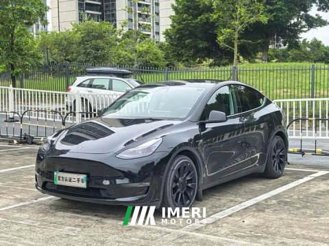 2021 Tesla Model Y Standard Range RWD - ავტომობილი ჩინეთიდან