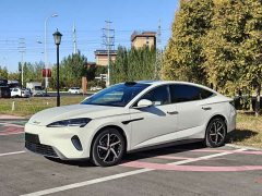 BYD Dolphin 07 DM-i 2026 DM-i 1.5T 230km Flagship - ფოტო 1