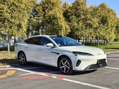 BYD Dolphin 07 DM-i 2026 DM-i 1.5T 230km Flagship - ფოტო 3