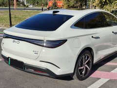 BYD Dolphin 07 DM-i 2026 DM-i 1.5T 230km Flagship - ფოტო 7