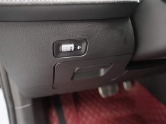 Geely Xingui Xingrui Oriental Radiance 2.0T Diesel Moonlight Edition - ფოტო 7
