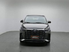 Buick GL8 Land Executive Cabin 652T Luxury - ფოტო 3