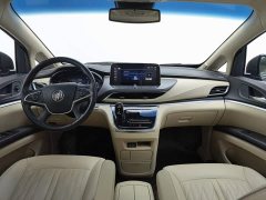 Buick GL8 Land Executive Cabin 652T Luxury - ფოტო 5