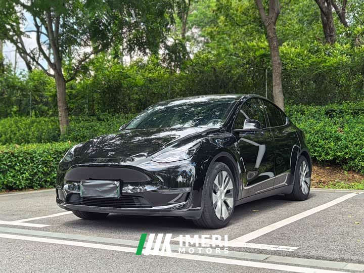 Tesla Model Y 2021 Standard Range RWD - ავტომობილი ჩინეთიდან