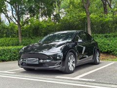 Tesla Model Y 2021 Standard Range RWD - ფოტო 1