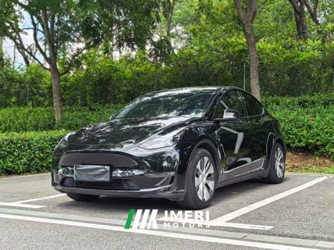 2022 Tesla Model Y 2021 Standard Range RWD - ავტომობილი ჩინეთიდან