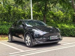 Tesla Model Y 2021 Standard Range RWD - ფოტო 3